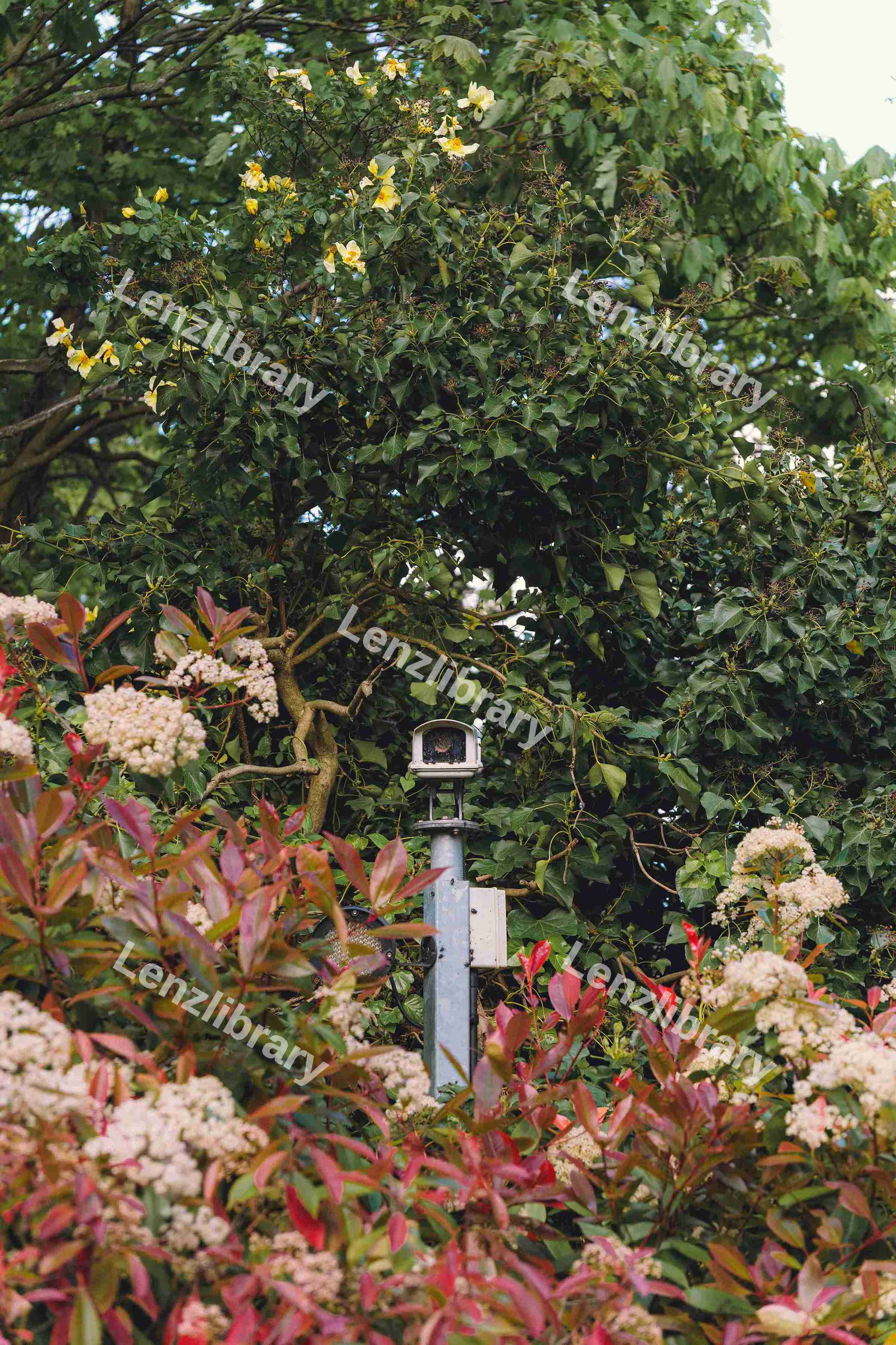 CCTV
